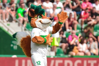 The return of Datigol: Elche CF's mascot returns with a revamped design to connect with younger fans